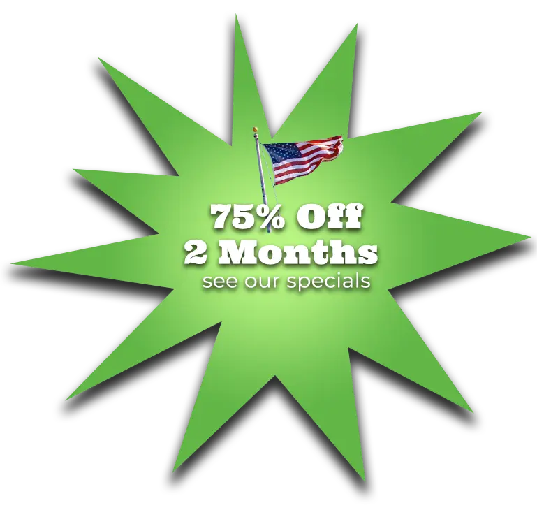 75% off 2 months